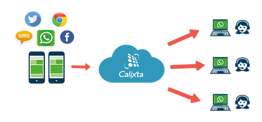 Calixta_WhatsApp_Diagrama-1
