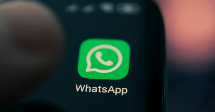 Whatsapp business api