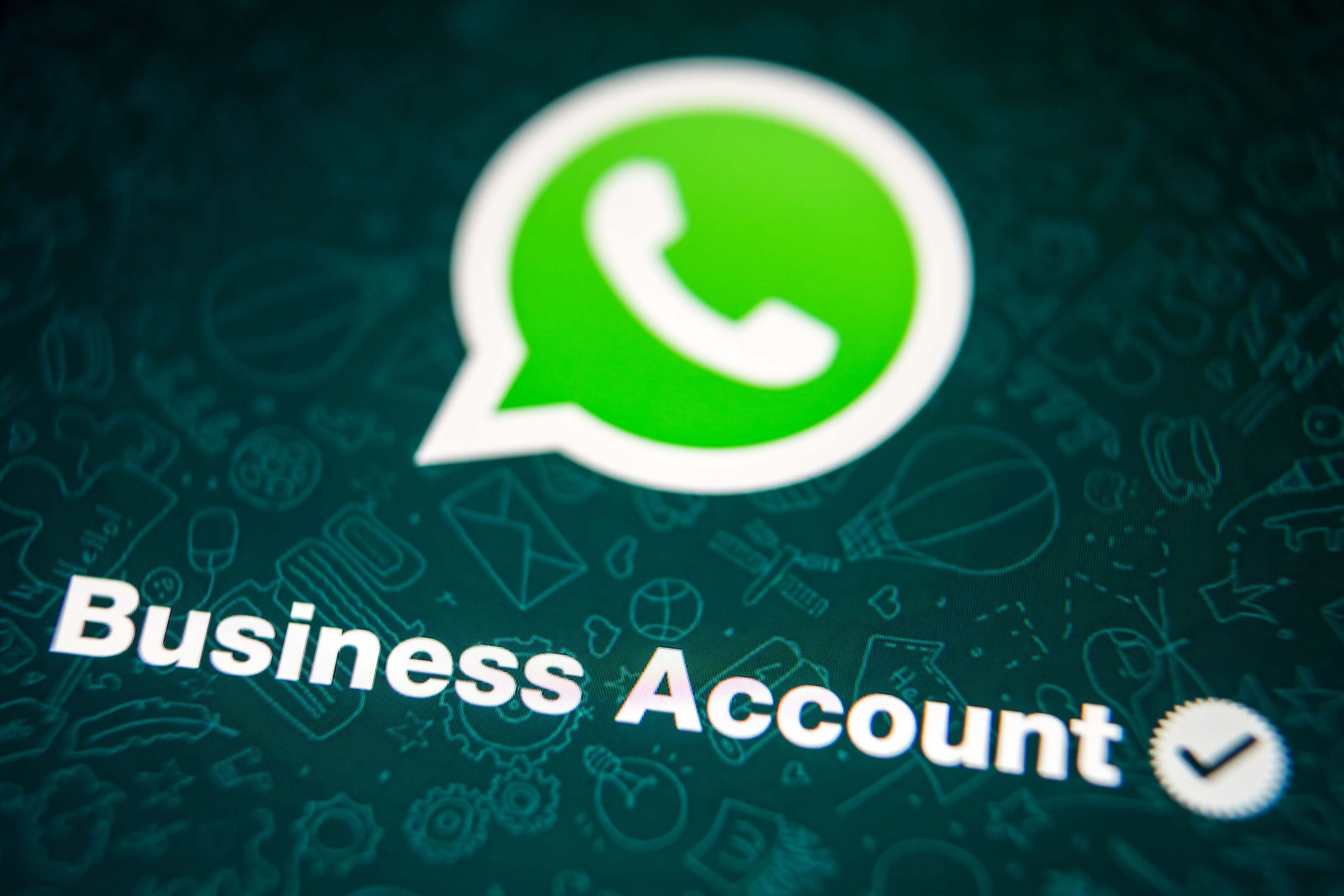 business whatsapp download 2022